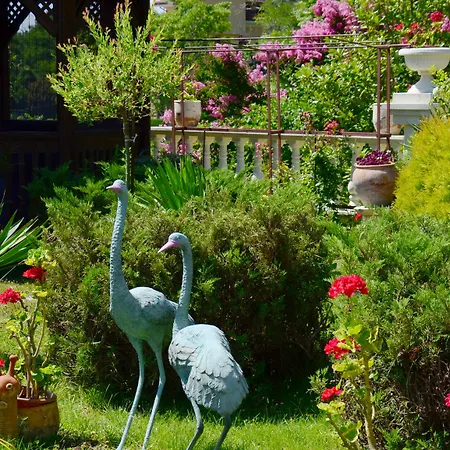 Dallas Отель Варна